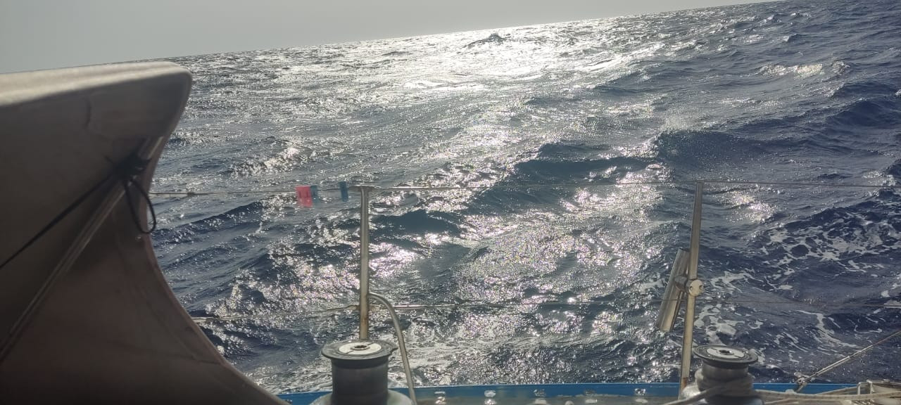 Бурное Красное море. Фото участников экспедиции