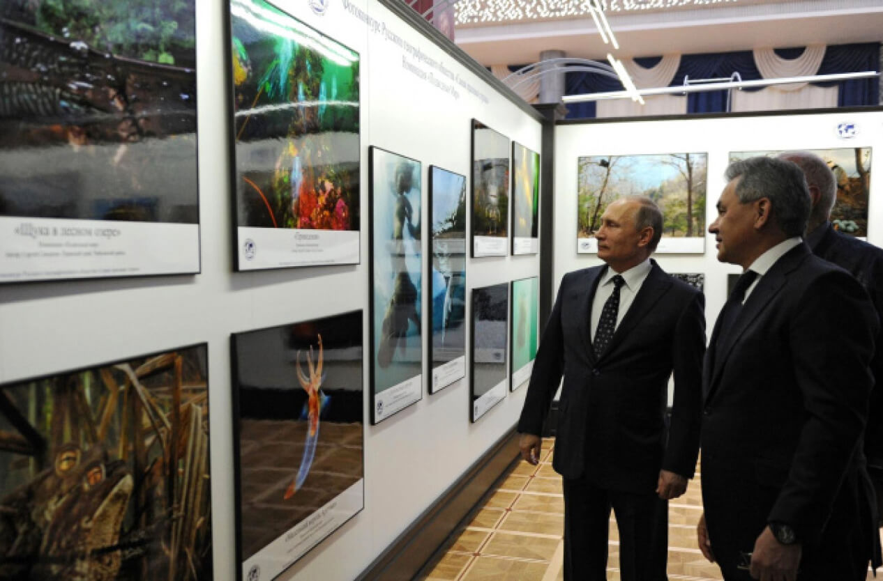 Владимир Путин и Сергей Шойгу осматривают выставку фотоконкурса