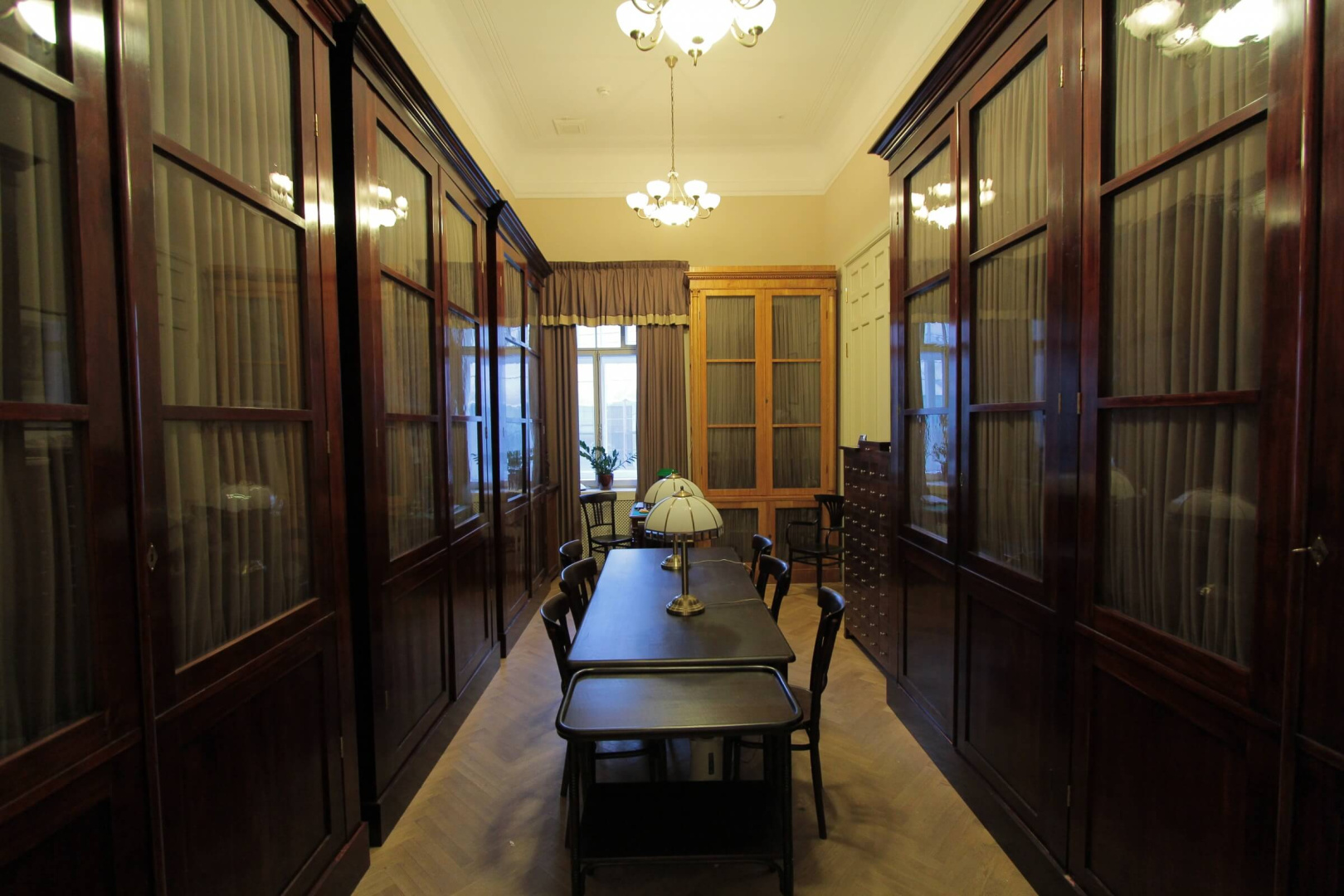 Фото предоставлено Санкт-Петербургским городским отделением РГО. Авторы: Андрей Стрельников, Василий Матвеев