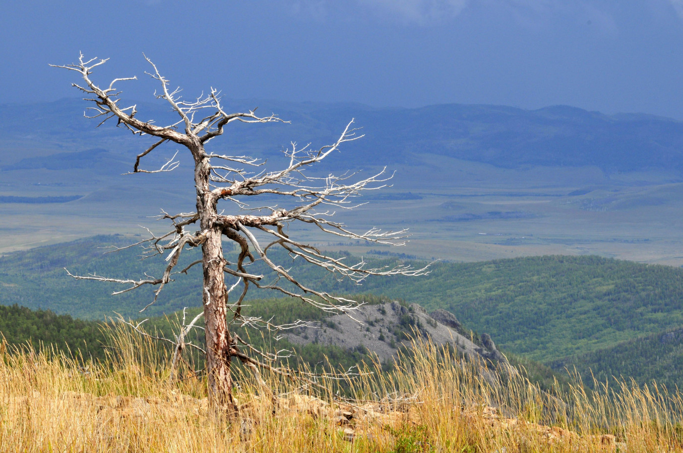 Панорама с вершины Алханая. Фото: Владимир Горбатовский