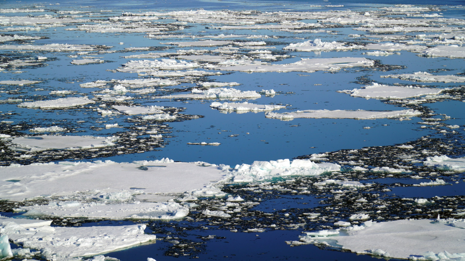 Арктика чутко реагирует на глобальные изменения климата. Фото: Дарья Зарецкая 