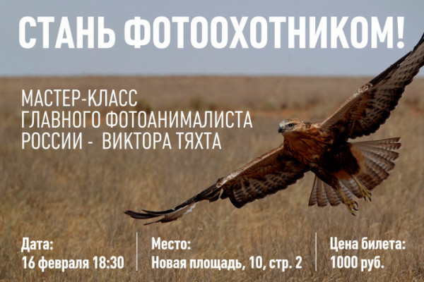 Поиск сюжетов в фотоанималистике