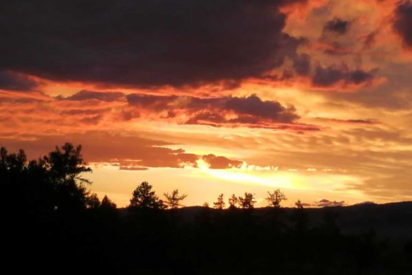 Лекция «О Совместной Российско-Монгольской комплексной биологической экспедиции РАН и АНМ»