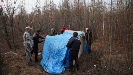 "Это самое гуманное решение" - биолог о вынужденном отлове белой медведицы в Якутии