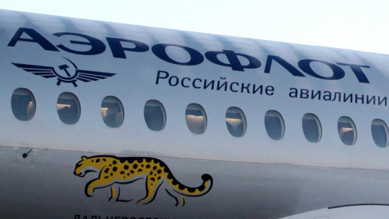 Изображение дальневосточного леопарда украшает самолет "Аэрофлота"
