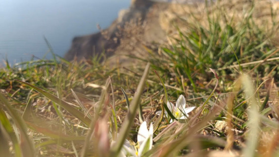 Moscow And Sevastopol Will Take Part In The Annual City Nature Challenge For The First Time