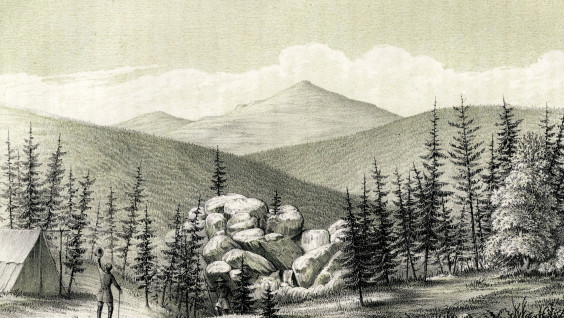 «Настойчивость к перенесению трудностей»: кредо Эрнста Гофмана