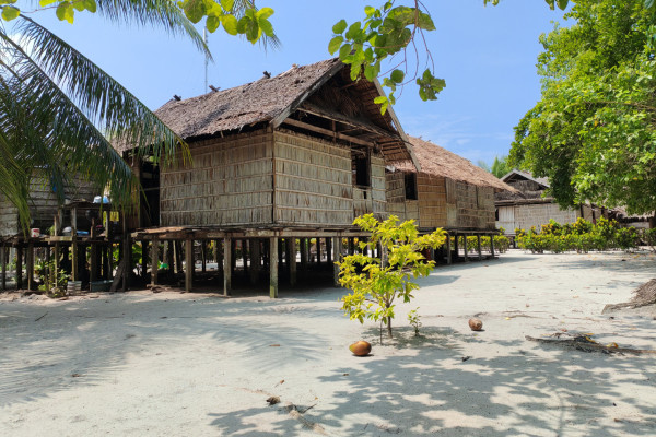 Лекция "Новая Гвинея и архипелаг Раджа Ампат глазами зоологов"