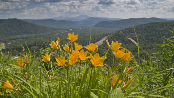 Проект «Заповедное дело РГО» приглашает добровольцев в национальный парк «Анюйский»