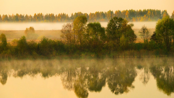Проект «Заповедное дело РГО» приглашает добровольцев в Республику Чувашия