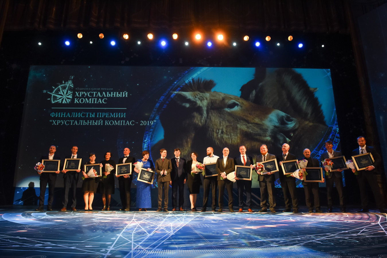 Фото: Елена Синеок 