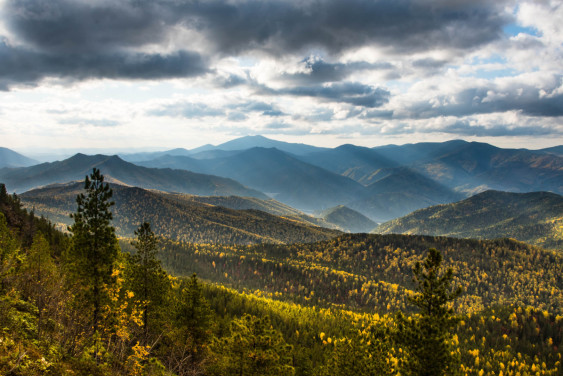Тропами Западного Саяна: в Красноярском крае при поддержке РГО обновили маршрут «ЭкоБорус»
