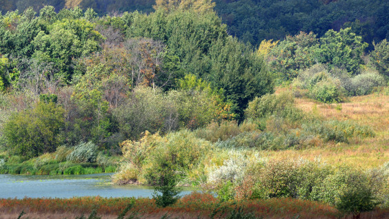 Новая экотропа на Волге в Нижегородской области откроется при поддержке РГО