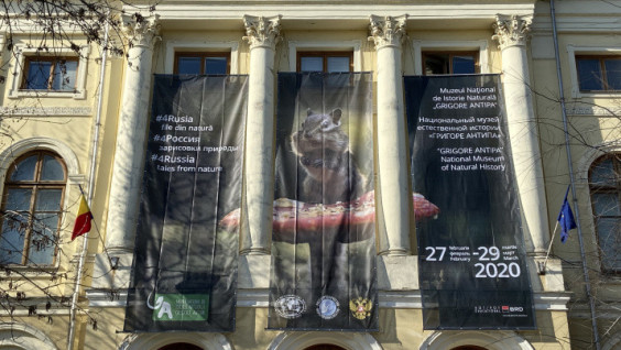 RGS Exhibition Opened in Bucharest