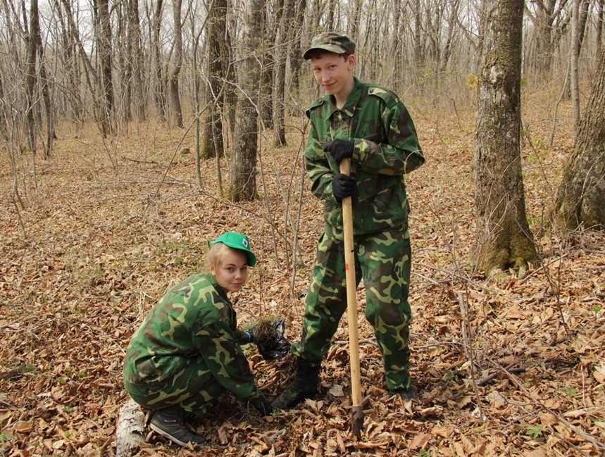 "День кедра - 2015"