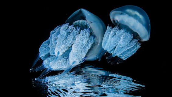 Five Myths About The RGS Photo Competition "The Most Beautiful Country"