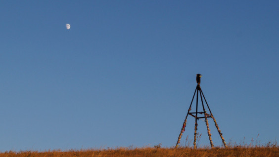 СТАРТОВАЛ НОВЫЙ БЛИЦКОНКУРС ВОПРОСОВ "ГЕОГРАФИЧЕСКОГО ДИКТАНТА — 2023" Картография и информатика