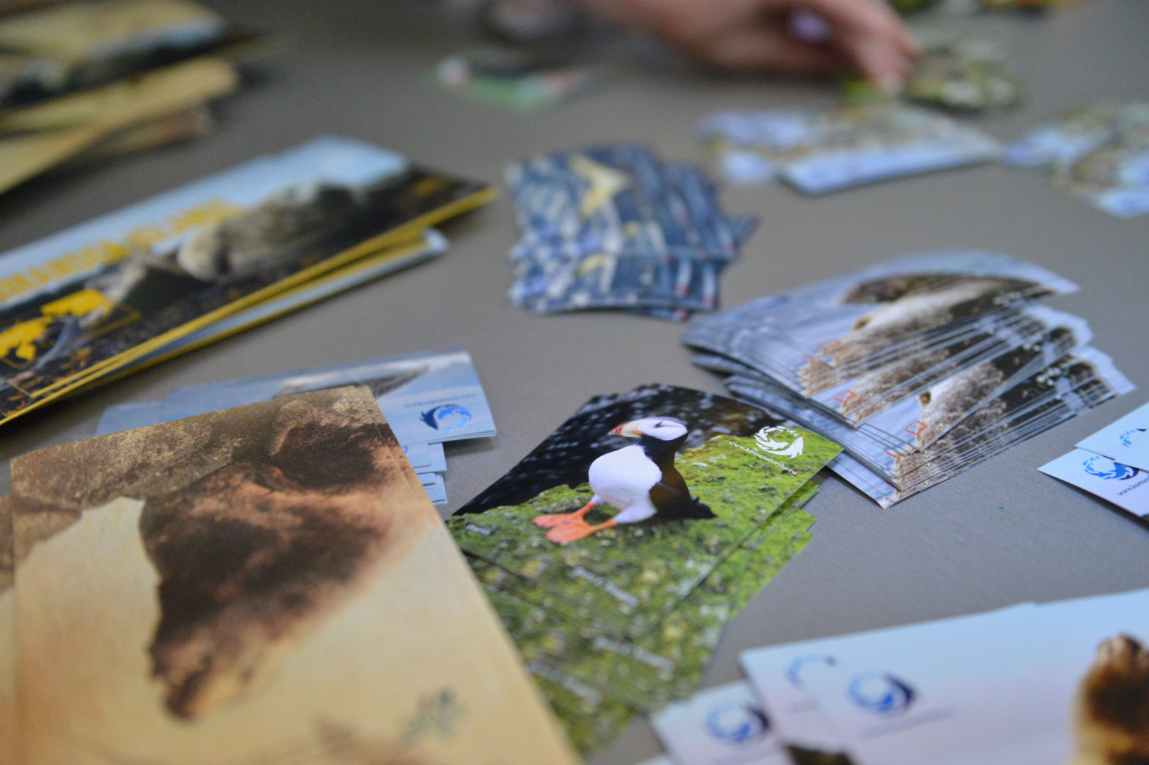 II Фестиваль Русского географического общества.