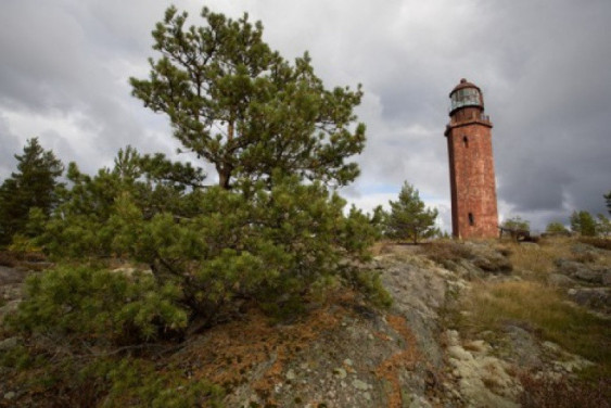 «The Russian World» for the Gulf of Finland