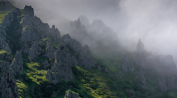 We Invite Volunteers to the Magadan Nature Reserve