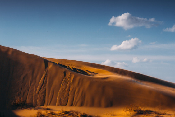 Проект «Заповедное дело РГО» приглашает добровольцев в Дагестан
