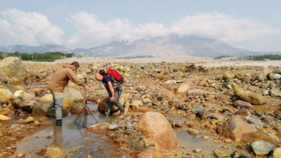 Natural Processes Caused Environmental Disaster in Avacha Bay