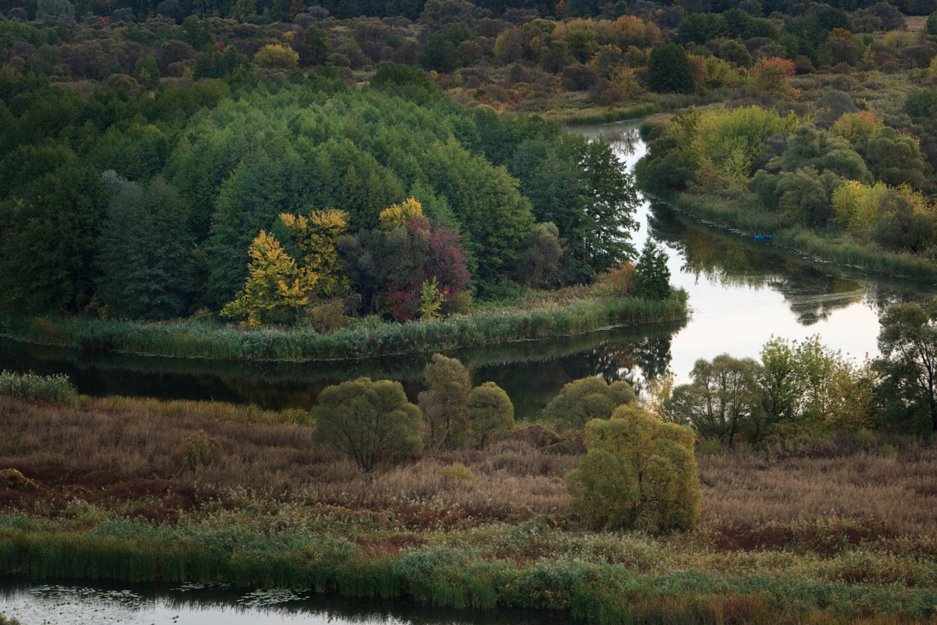 Заповедник «Воронинский». Фото: Евгений Подгорнов, участник конкурса РГО «Самая красивая страна»
