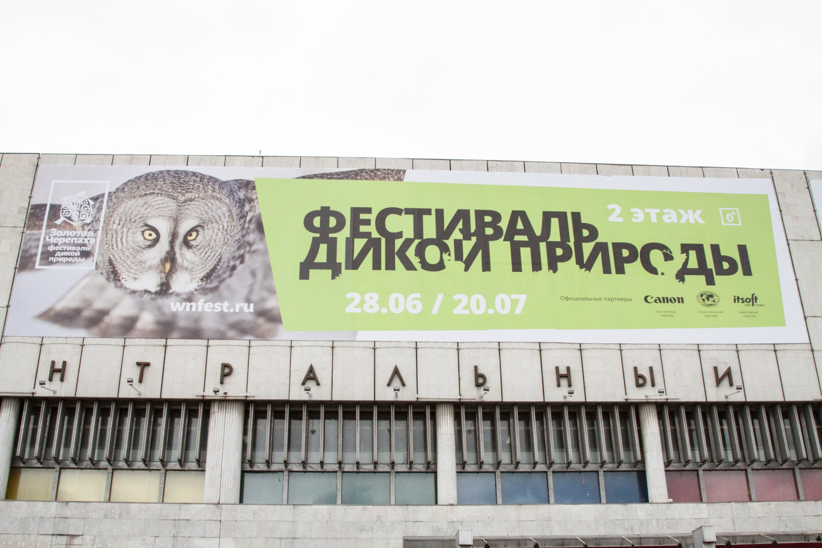 Фоторепортаж с открытия выставки «Золотая черепаха» (27 июня 2014 года)