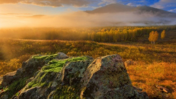 Day of reconciliation of "owls" and "larks"