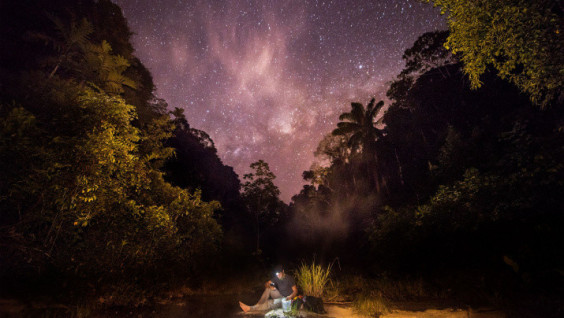 National Geographic представит грантовую программу