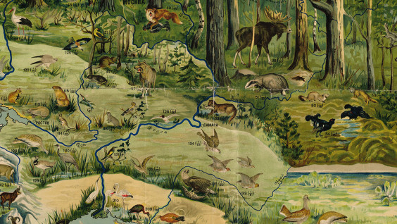 Карта как художественное произведение: 92 года назад вышла "Зоогеографическая карта СССР"