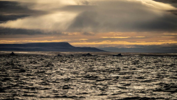 Disappearing Land: RGS’s Expedition Explores Newly Discovered Island Of Yaya