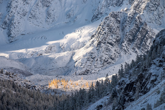 Феномен безграничной Сибири: эксперты РГО обсудили потенциал уникального региона