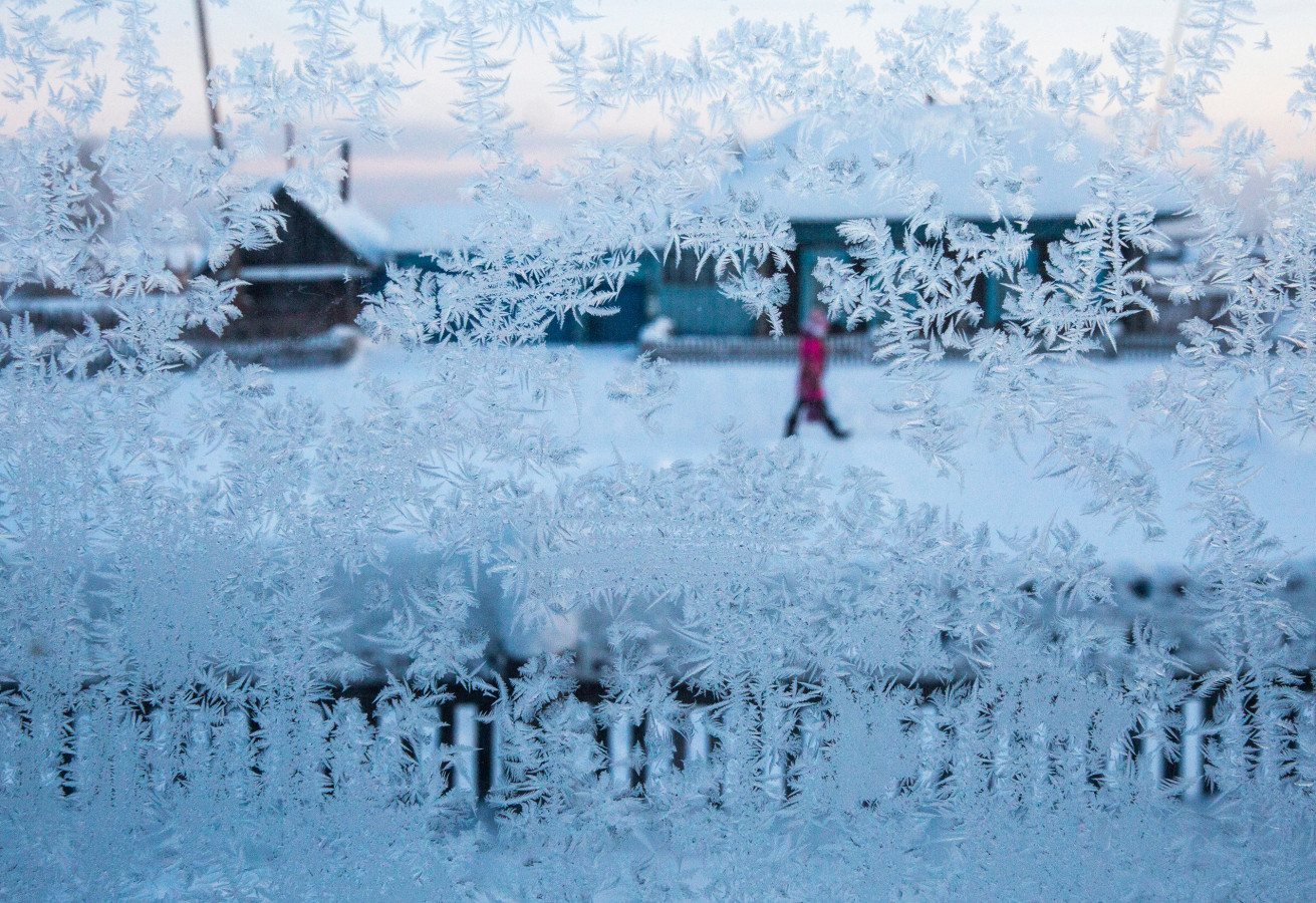 Морозное утро. Фото: Дмитрий Феоктистов, участник конкурса 