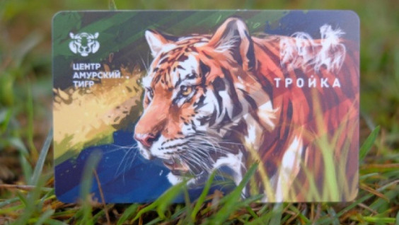 "Tiger" Troika Transport Cards