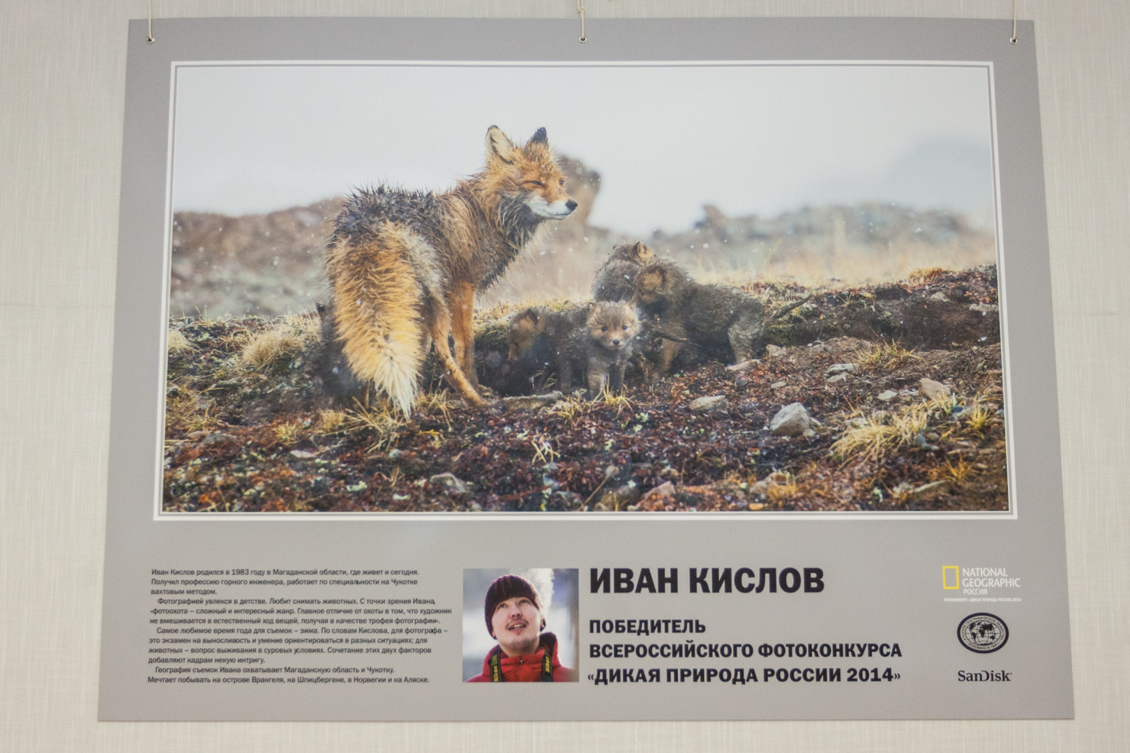 Открытие ежегодной национальной фотовыставки "Дикая природа России – 2014"