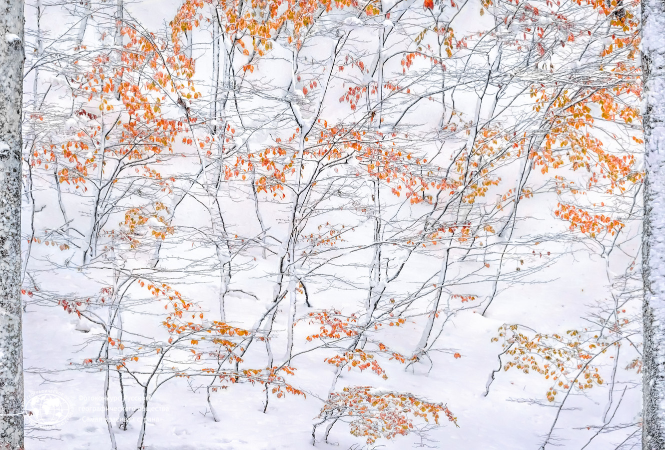 Встреча осени и зимы. Фото: Елена Пахалюк, участница фотоконкурса РГО «Самая красивая страна»