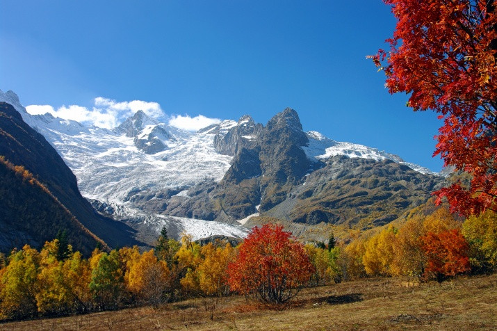 Karachay-Cherkess Regional Office