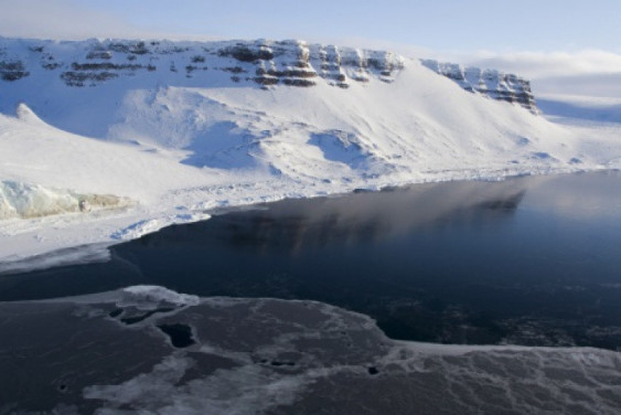 The Arctic Expedition