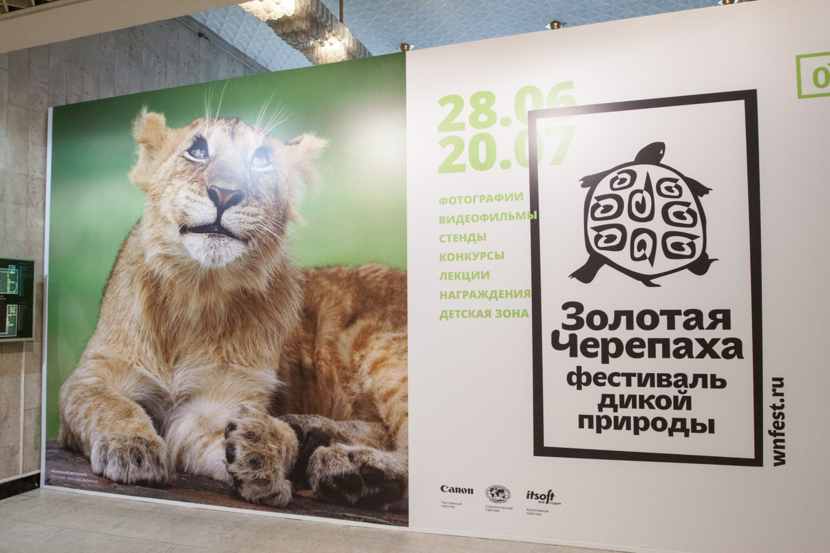 Фоторепортаж с открытия выставки «Золотая черепаха» (27 июня 2014 года)