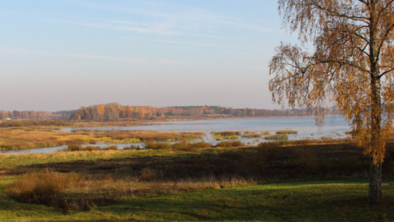 National Phenological Day In October Set New Records
