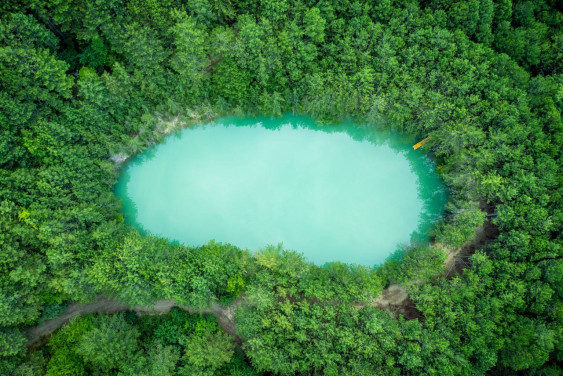 Что сегодня сбережёшь, завтра пригодится