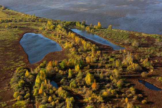 РГО начинает конкурсный отбор в лагерь проекта «Природа БЕЗопасности» в Томской области