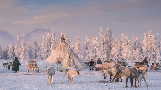 Смотри, не замерзай: уральские дизайнеры знают, как выжить на Русском Севере