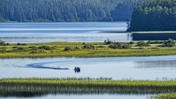"Nature Reserve School" in Kenozersky National Park Has Completed Its Work