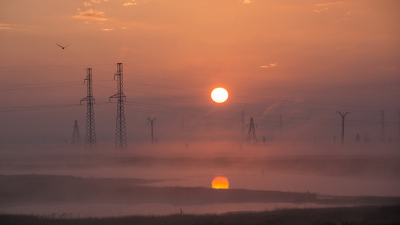 Географы МГУ создали веб-приложение о развитии электросетей в России