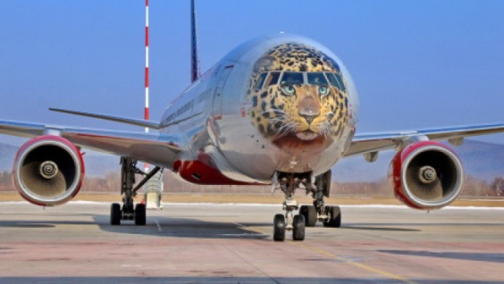 The Far Eastern leopard got his own plane
