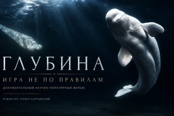 Глубина: игра не по правилам