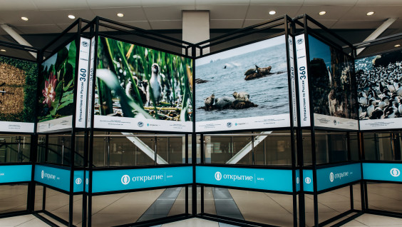 РГО и банк "Открытие" представили уникальный VR-фильм и фотовыставку в аэропорту Новосибирска