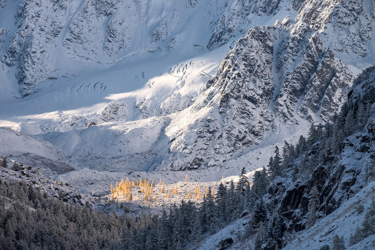Феномен безграничной Сибири: эксперты РГО обсудили потенциал уникального региона